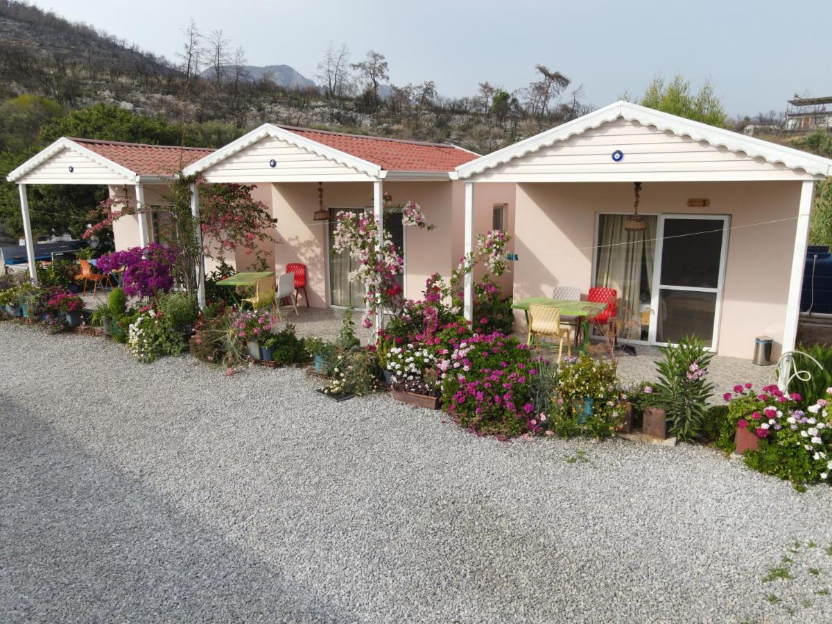 Yelken Bungalov Bed and Breakfast Milas Exteriör bild