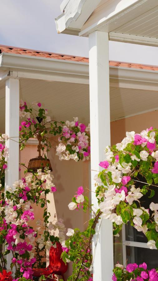 Yelken Bungalov Bed and Breakfast Milas Exteriör bild